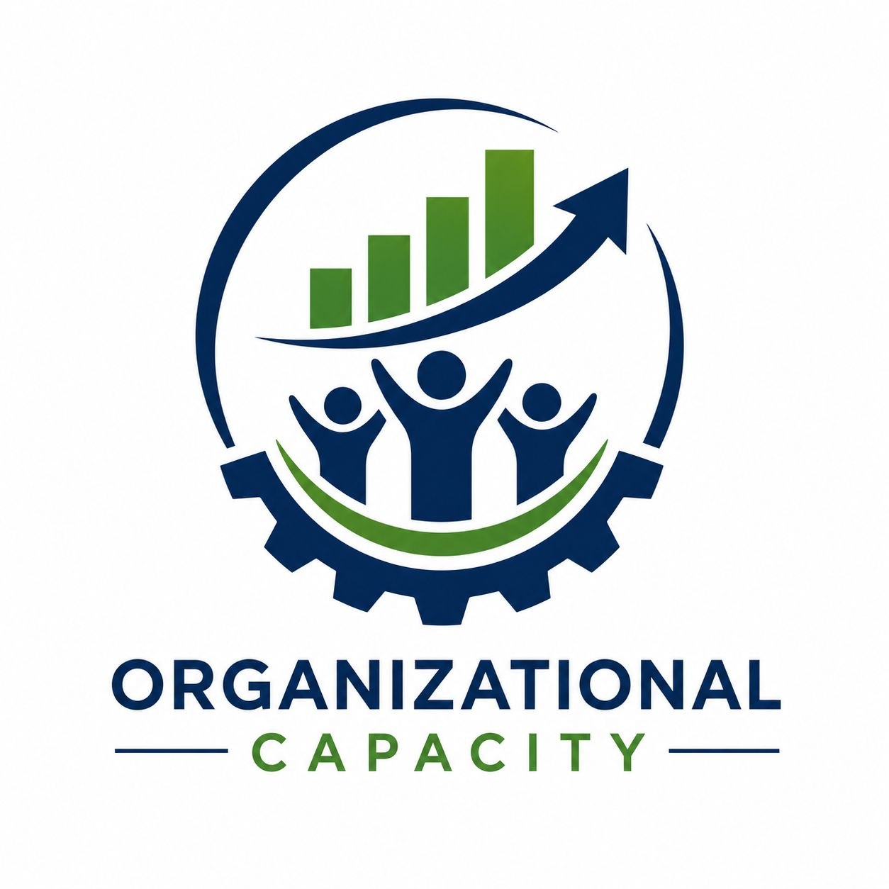 Organizational Capacity